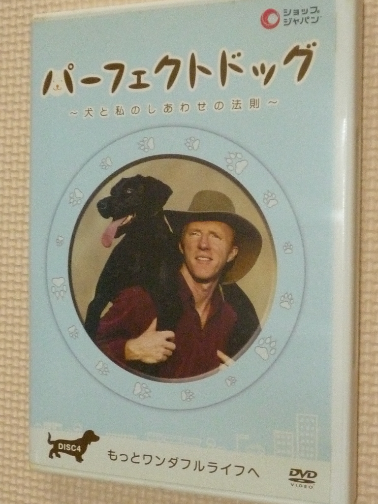 ペット　犬と私のしあわせの法則　パーフェクトドッグ４　もっとワンダフルライフへ