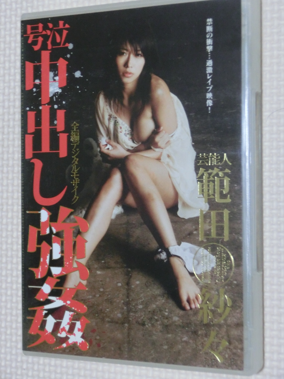 範田紗々 芸能人 号泣中出し強姦 【稀少品】