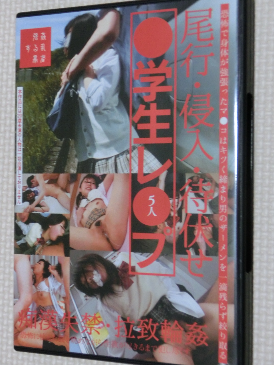 ●学生レ●プ・尾行・侵入・待伏せ・痴姦失禁・拉致輪姦