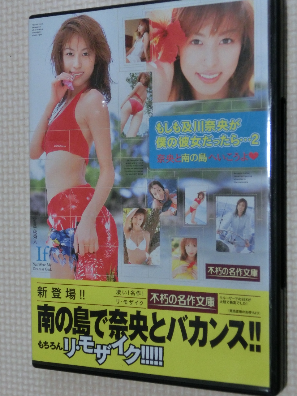 及川奈央 不朽の名作！もしも及川奈央が僕の彼女だったら…2 奈央と南の島へいこうよ 不朽の名作文庫