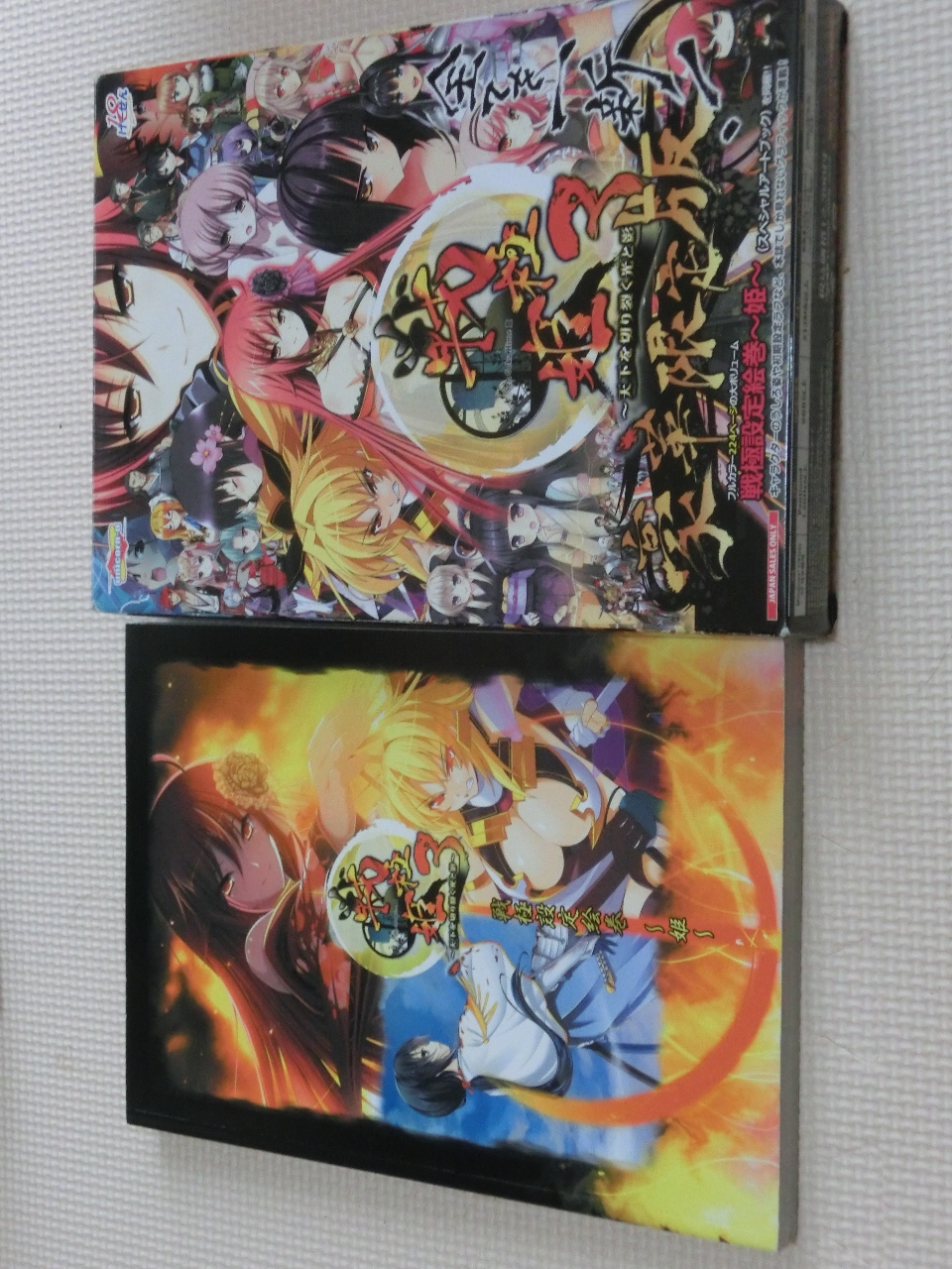 戦極姫3～天下を切り裂く光と影～ 豪華限定版 戦極設定絵巻付 WindowsVistaまで対応