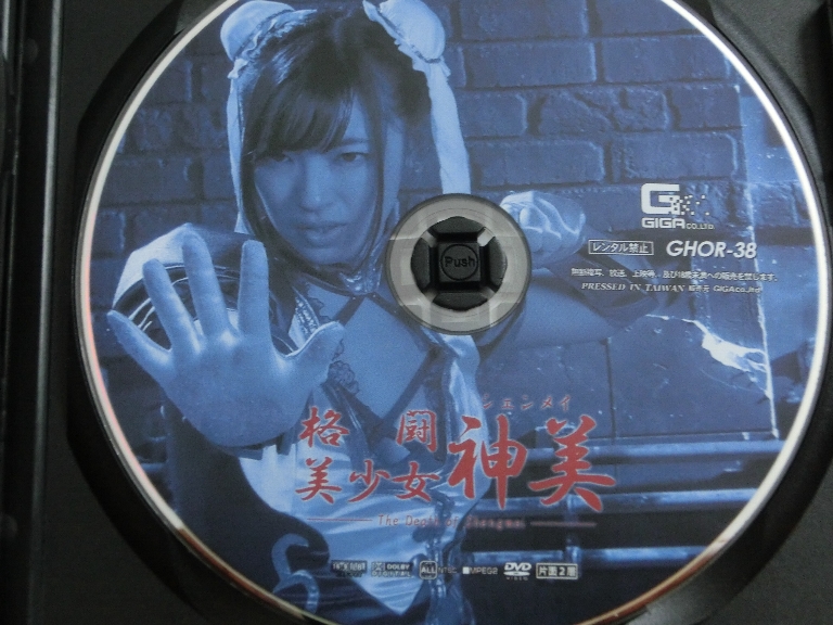 GIGA 格闘美少女シェンメイ あやね遥菜 ジャケット無し【稀少品】